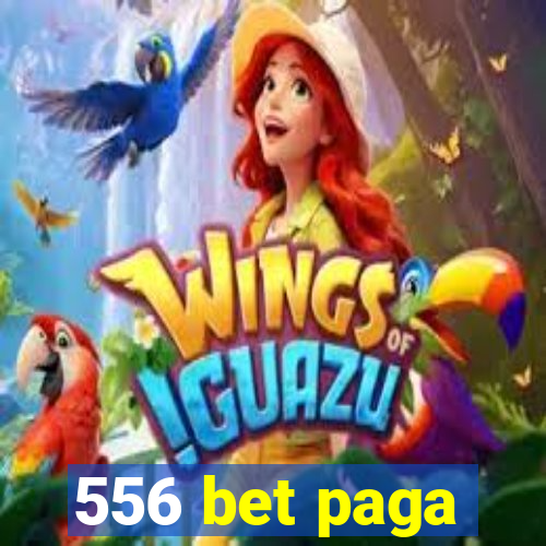 556 bet paga